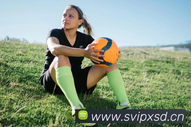 App Interface Preview